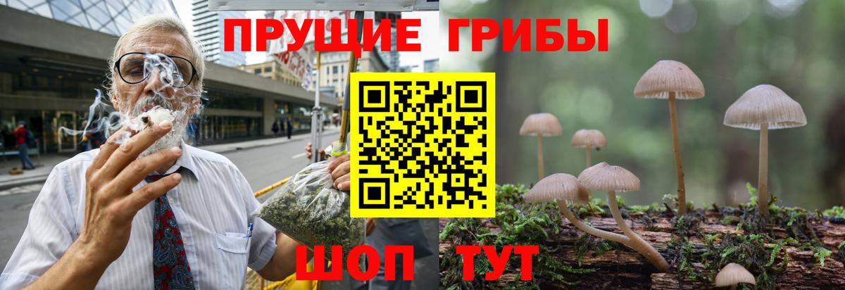 наркошоп  Псилоцибиновые грибы Psilocybine cubensis  Псилоцибиновые грибы прущие грибы  Вход с VPN  Северобайкальск 